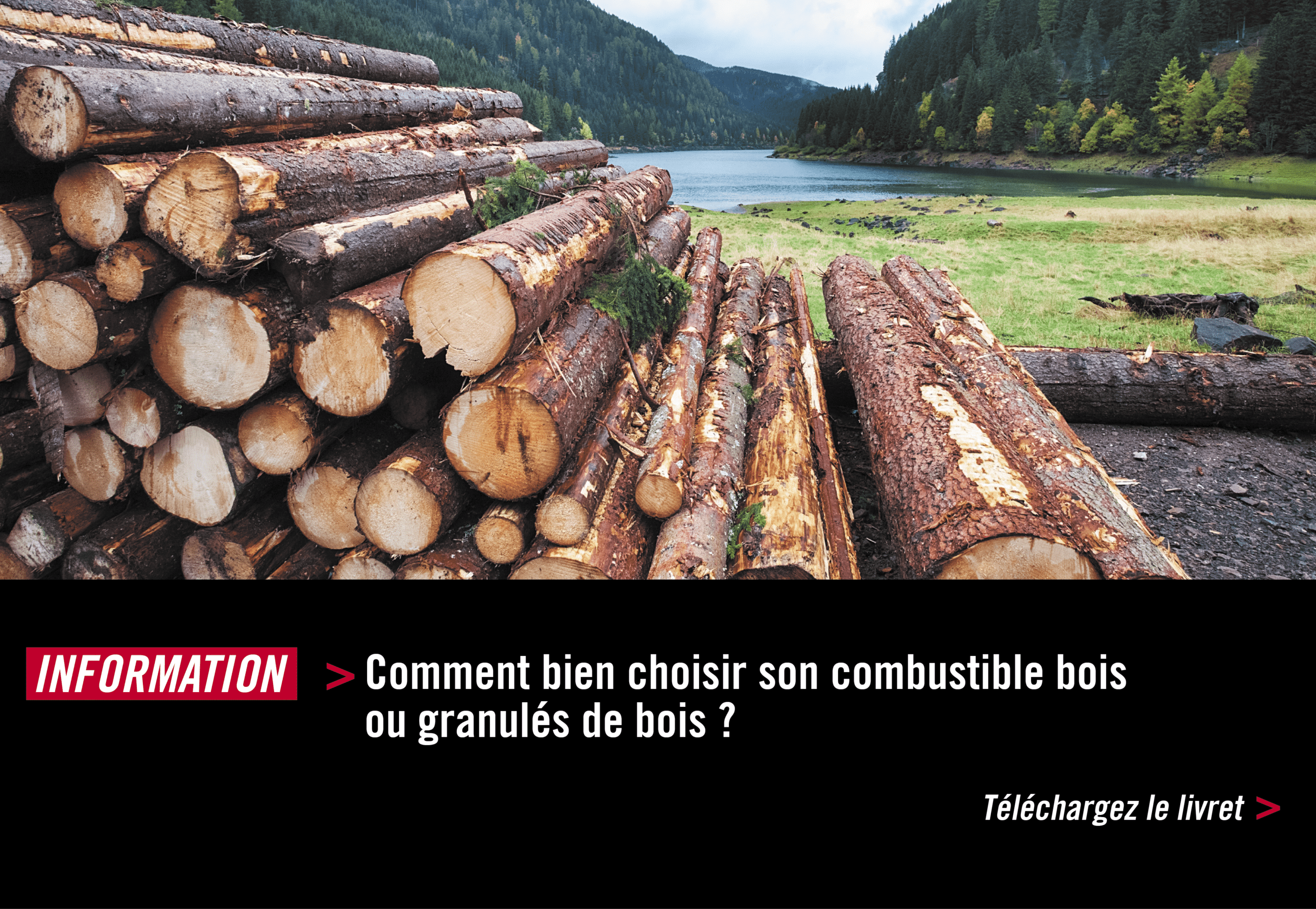 choisir son combustible bois ou granulés